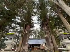 山家神社の自然