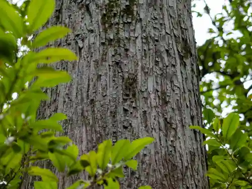 赤坂氷川神社(東京都)