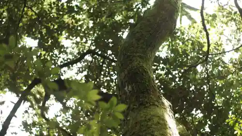 平安神宮(京都府)