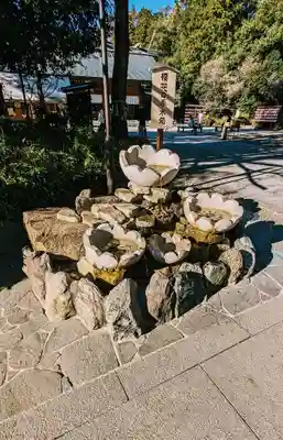 櫻木神社の手水舎