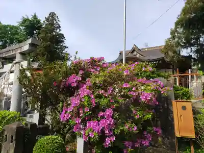 武蔵第六天神社(埼玉県)