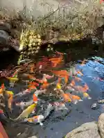 秩父神社の{uncategorized: "未分類", other: "その他", undefined: "問題あり", building: "その他建物", grave: "お墓", sacred_gate: "鳥居", guardian: "狛犬", statue: "像", buddha: "仏像", history: "歴史", nature: "自然", garden: "庭園", animal: "動物", pagoda: "塔", temizu: "手水舎", mountain_gate: "山門・神門", sanctuary: "本殿・本堂", subordinate: "末社・摂社", art: "芸術", scenery: "景色", jizo: "地蔵", ema: "絵馬", goshuin: "御朱印", omikuji: "おみくじ", items: "授与品その他", amulet: "お守り", goshuincho: "御朱印帳", eats: "食事", festival: "お祭り", votive_dance: "神楽", shichigosan: "七五三参", wedding: "結婚式", experience: "体験その他", initially: "初詣", around: "周辺", anti_infection: "感染症対策"}