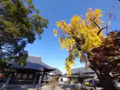 慈光寺(愛知県)