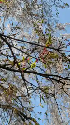 松ヶ崎大黒天 妙圓寺（妙円寺）(京都府)