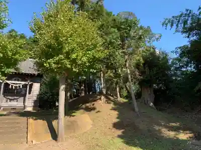 八幡神社の周辺