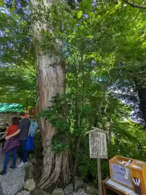 長谷寺(神奈川県)