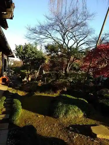 金仙寺の庭園