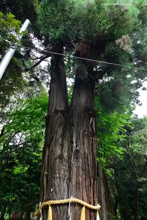 息栖神社(茨城県)