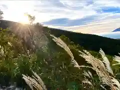 山家神社奥宮の自然