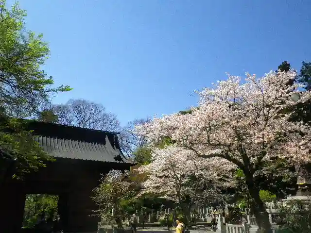 妙本寺の山門・神門