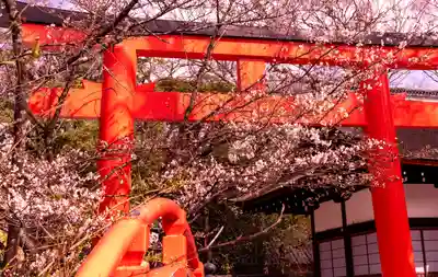 賀茂御祖神社(下鴨神社)の鳥居