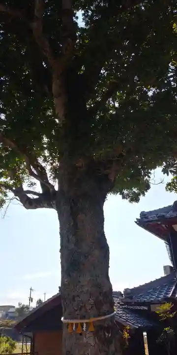 龍宮神社の自然