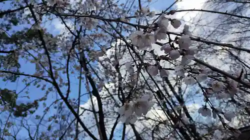 平野神社(京都府)