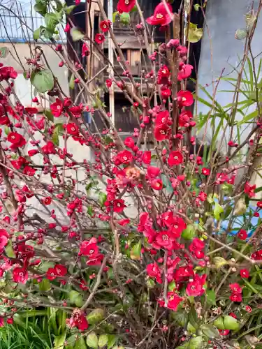大蓮寺の{uncategorized: "未分類", other: "その他", undefined: "問題あり", building: "その他建物", grave: "お墓", sacred_gate: "鳥居", guardian: "狛犬", statue: "像", buddha: "仏像", history: "歴史", nature: "自然", garden: "庭園", animal: "動物", pagoda: "塔", temizu: "手水舎", mountain_gate: "山門・神門", sanctuary: "本殿・本堂", subordinate: "末社・摂社", art: "芸術", scenery: "景色", jizo: "地蔵", ema: "絵馬", goshuin: "御朱印", omikuji: "おみくじ", items: "授与品その他", amulet: "お守り", goshuincho: "御朱印帳", eats: "食事", festival: "お祭り", votive_dance: "神楽", shichigosan: "七五三参", wedding: "結婚式", experience: "体験その他", initially: "初詣", around: "周辺", anti_infection: "感染症対策"}