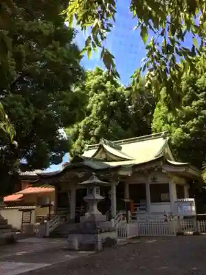 荻窪白山神社(東京都)