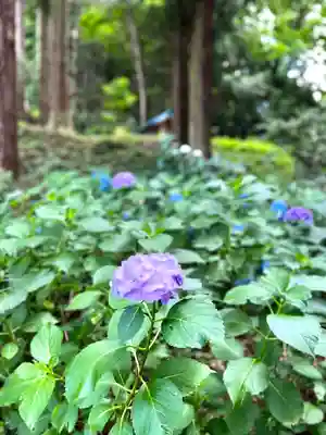 子檀嶺神社の自然