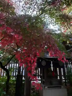 阿佐ヶ谷神明宮(東京都)