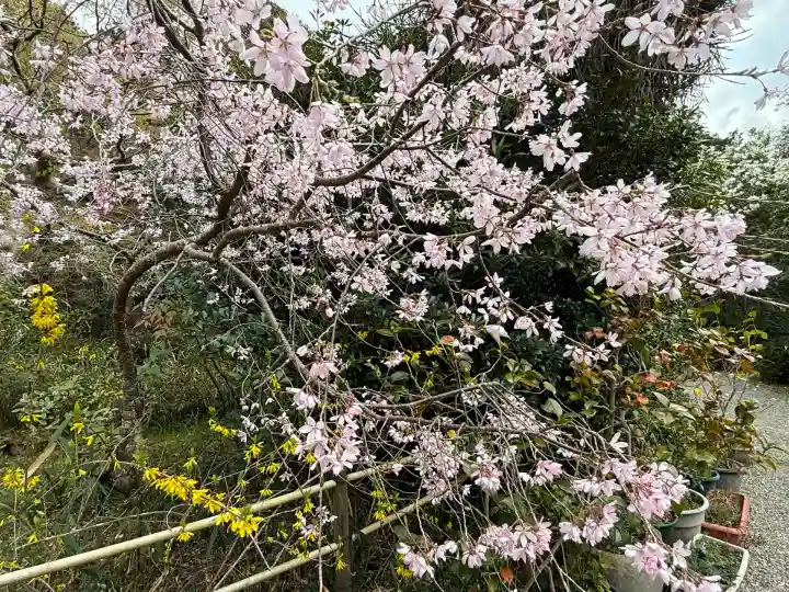 不退寺(奈良県)