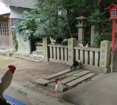 浪打八幡宮(香川県)