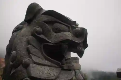 大山阿夫利神社の狛犬