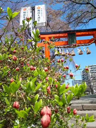 榴岡天満宮の自然