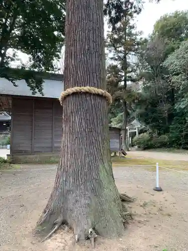 鷲宮神社のその他建物