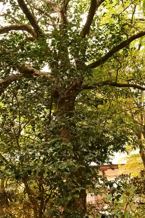 佛山寺(大分県)