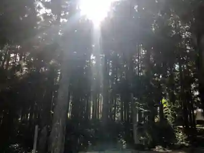 日咩坂鐘乳穴神社の自然
