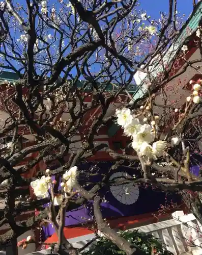 日枝神社の自然