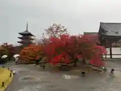 東寺（教王護国寺）(京都府)