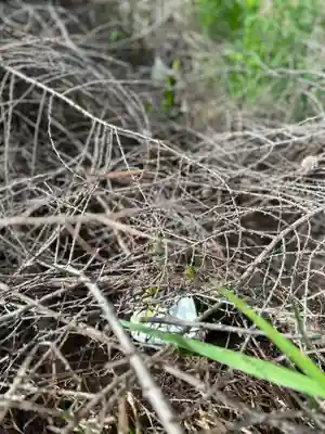🌸乙部八幡神社(北海道)