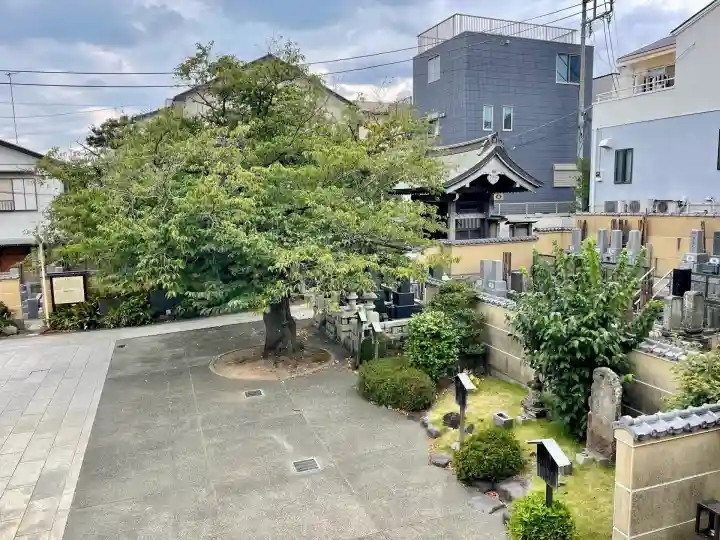 延台寺(神奈川県)