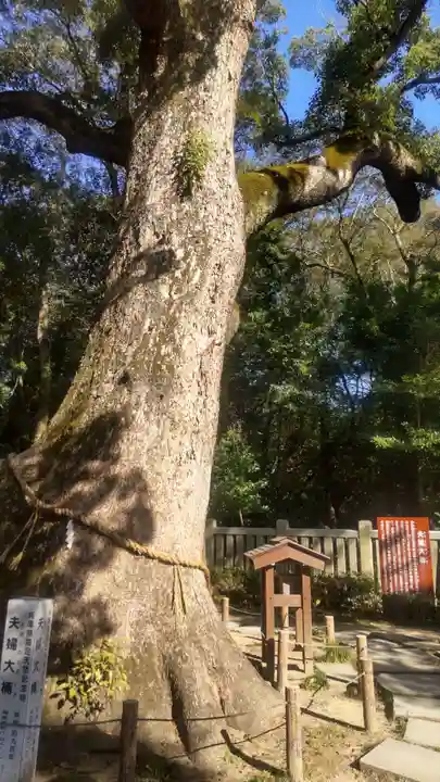 伊弉諾神宮(兵庫県)