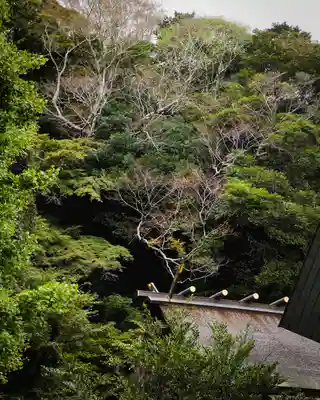 安房神社(千葉県)