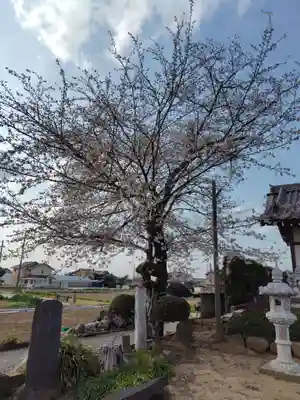 大塚諏訪神社 (埼玉県)