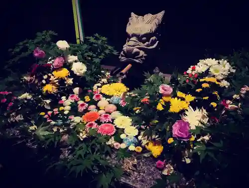 滑川神社 - 仕事と子どもの守り神の手水