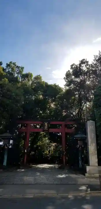 根津神社の鳥居