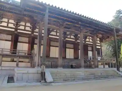 金剛峰寺大伽藍金堂(和歌山県)