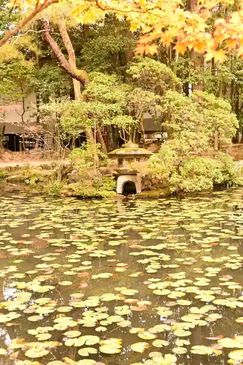 天授庵(京都府)