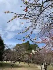 宗像神社(京都府)