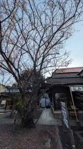 下御霊神社(京都府)