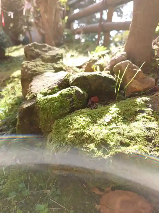 宝厳寺(滋賀県)