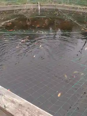 大國神社(宮城県)