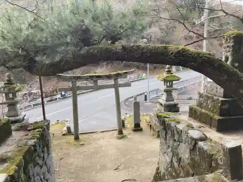 五明神社の鳥居