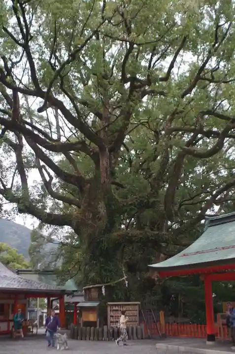 熊野那智大社(和歌山県)