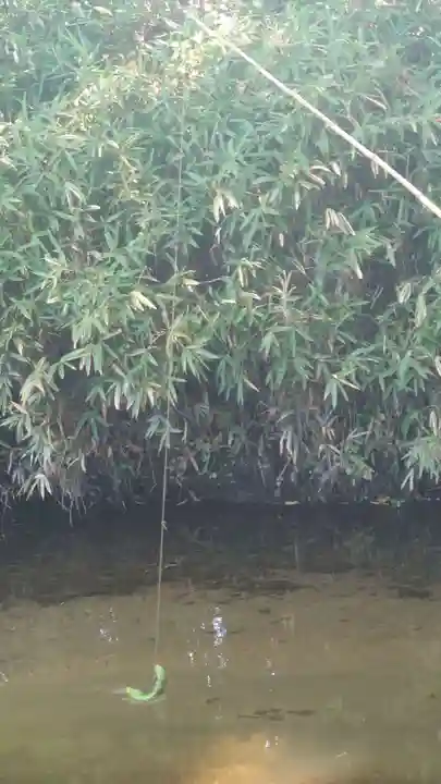 常堅寺(岩手県)