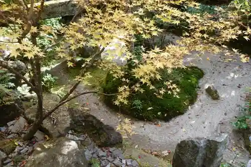宝泉院の庭園