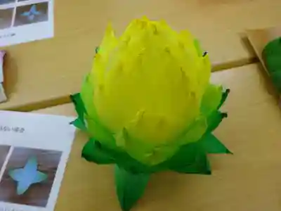 伊勢原 法泉寺の体験その他