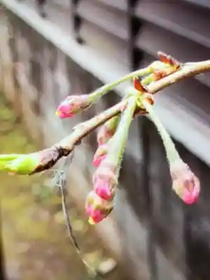 池尻稲荷神社(東京都)