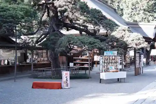 甲斐國一宮 浅間神社(山梨県)